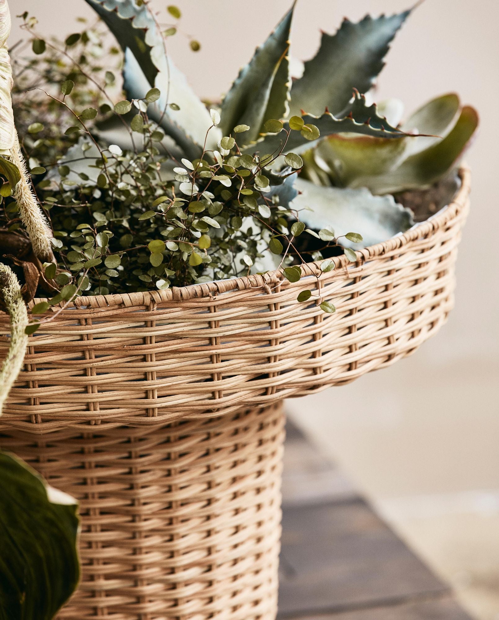 Nordal A/S - Hög Blomkruka LAURIE i Naturlig Råttna