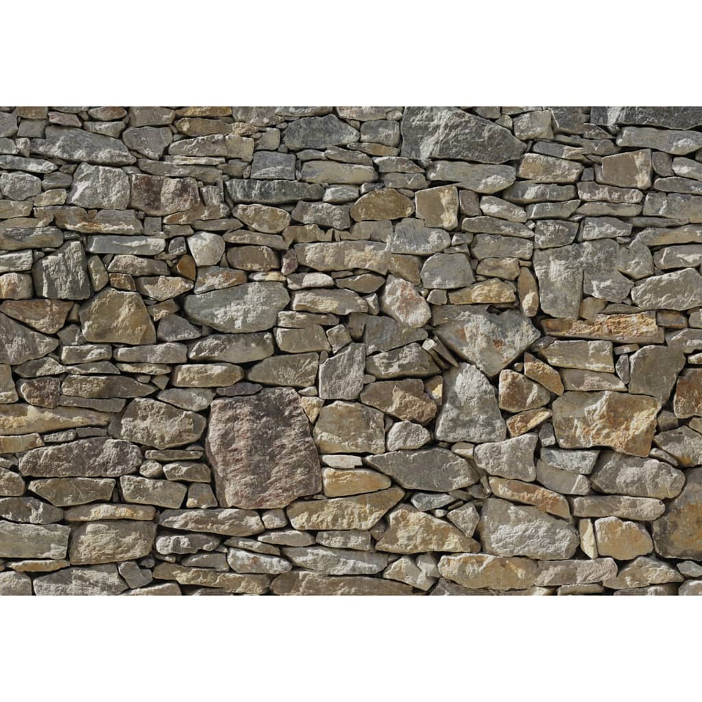 Komar Fototapet Stone Wall 368x254 cm 8-727